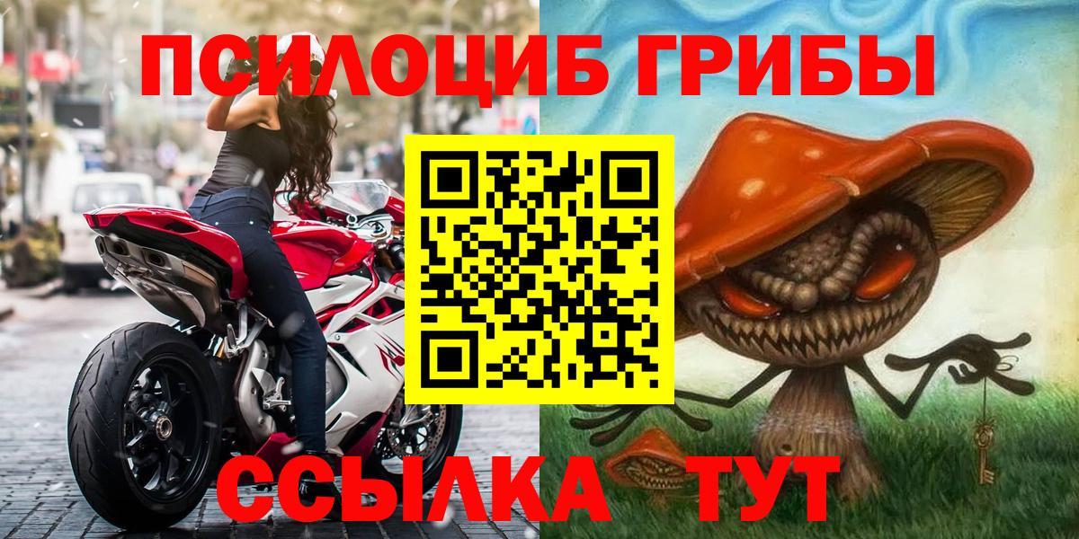 Псилоцибиновые грибы Cubensis Щёлково