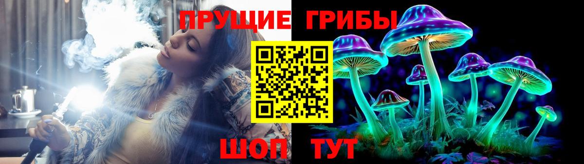 закладка  Галлюциногенные грибы MAGIC MUSHROOMS  Вход с VPN  Щёлково 
